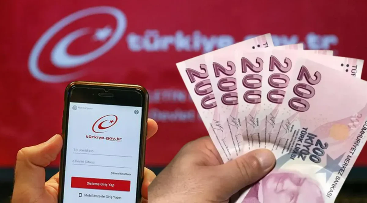 e-Devlet'e yeni &ouml;zellik geldi! T&uuml;m hesaplar ortaya &ccedil;ıkacak