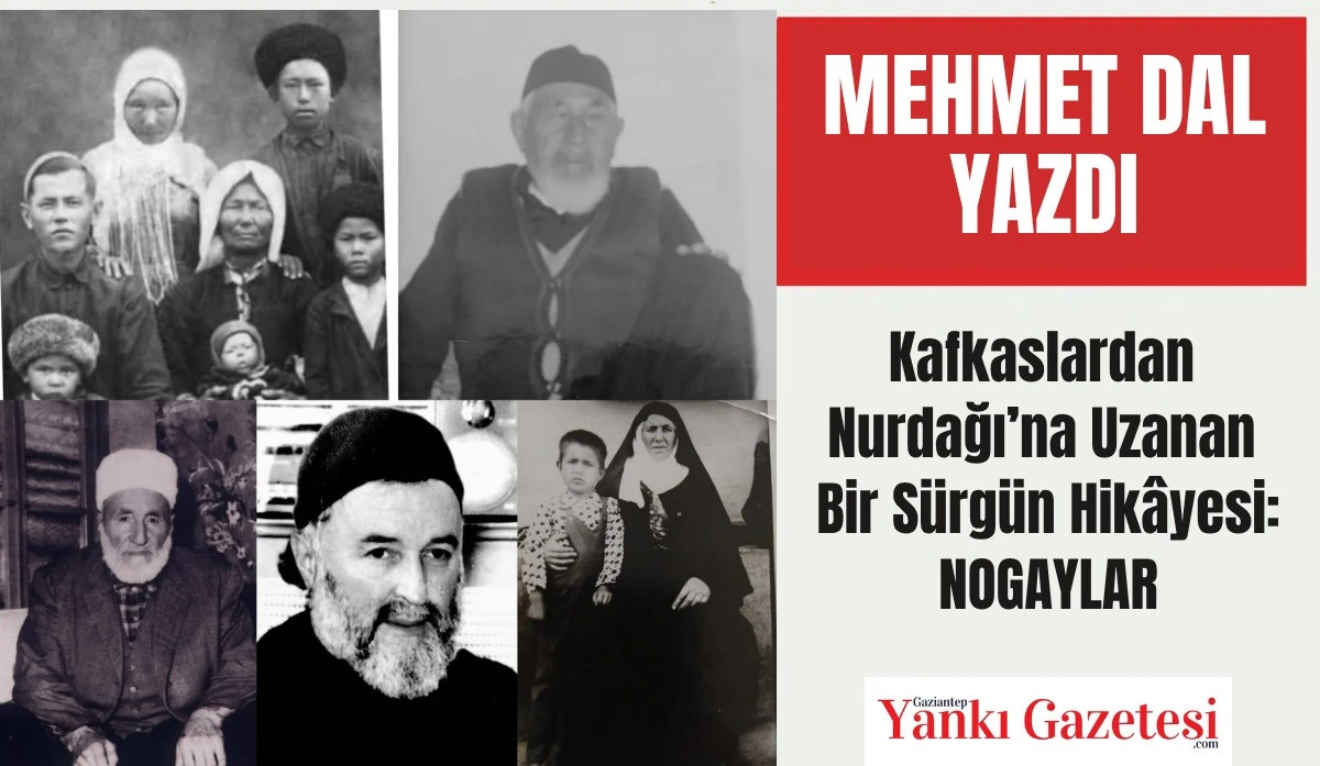 Eğitimci Mehmet Dal Yazdı:  Kafkaslardan Nurdağı’na Uzanan Bir Sürgün Hikâyesi: Nogaylar
