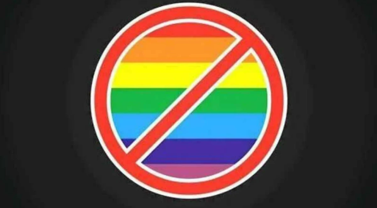 LGBT T&uuml;rkiye&rsquo;deki a&ccedil;ığı buldu! Yabancı fonlara engel yok! LGBT derneklerine ka&ccedil; milyon dolar aktarıldı?