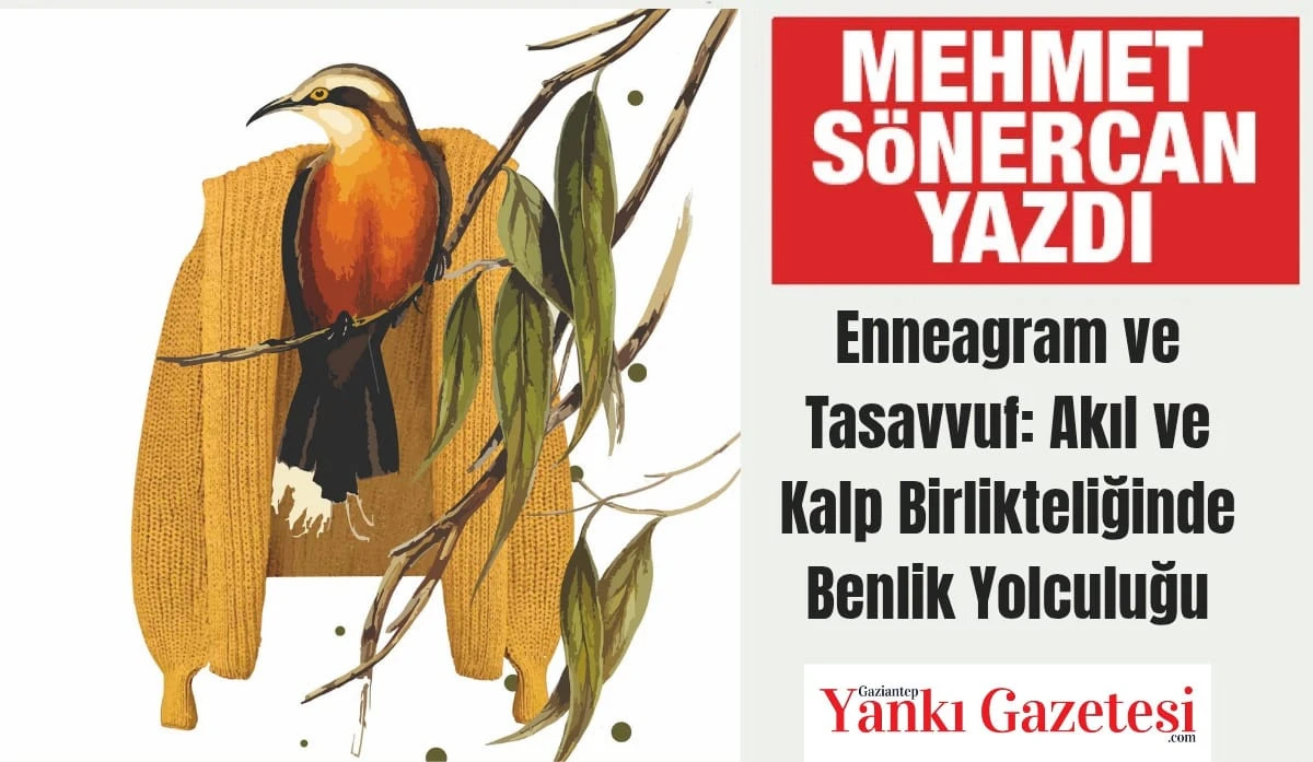 Mehmet Sönercan Yazdı: Enneagram ve Tasavvuf: Akıl ve Kalp Birlikteliğinde Benlik Yolculuğu