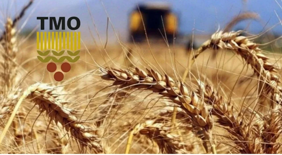 Milyonlarca &ccedil;ift&ccedil;inin beklediği haber geldi: 2026 TMO buğday ve arpa alım fiyatları belli oldu!