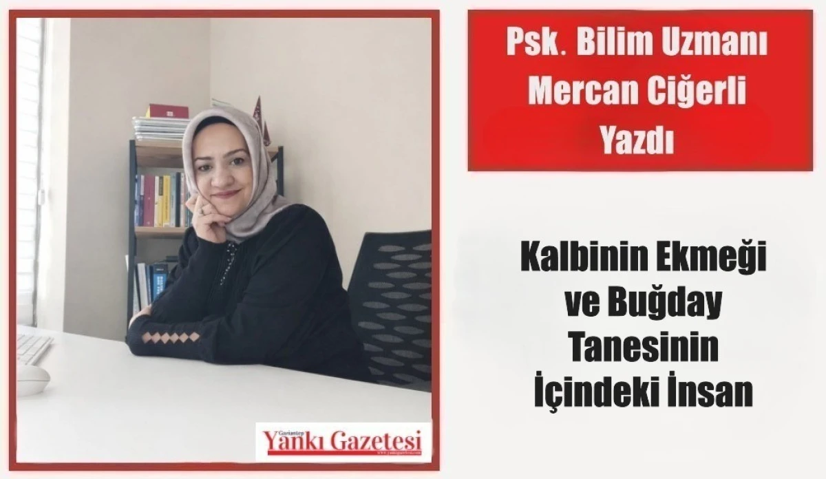 Psk. Bilim Uzmanı Mercan Ciğerli Yazdı: Kalbinin Ekmeği ve Buğday Tanesinin İ&ccedil;indeki İnsan