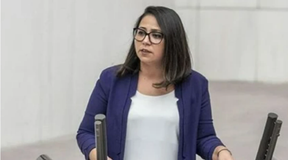 Serra Kadıgil'e soruşturma: İki ayrı su&ccedil;tan inceleme