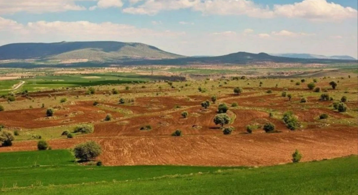 Ucuza arsa almak isteyenlerin beklediği haber geldi